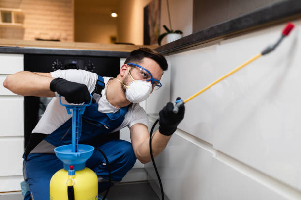 Best Rat Extermination Near Me  in Tinley Park, IL