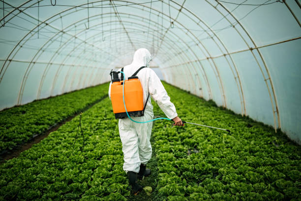 Best Affordable Pest Control Services  in Tinley Park, IL