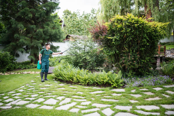 Best Cockroach Control Services  in Tinley Park, IL
