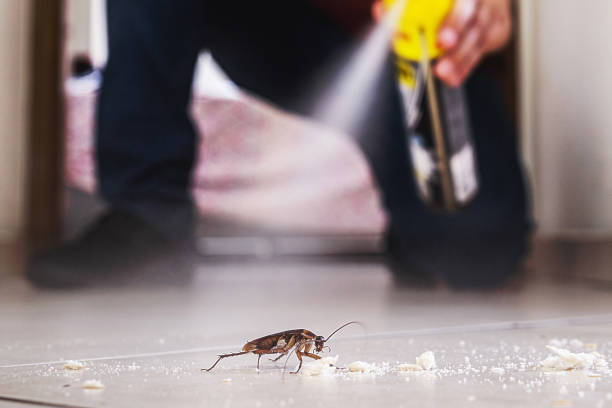 Best Best Pest Control Companies  in Tinley Park, IL