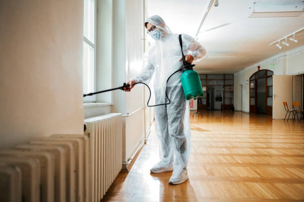 Best Affordable Pest Control Services  in Tinley Park, IL