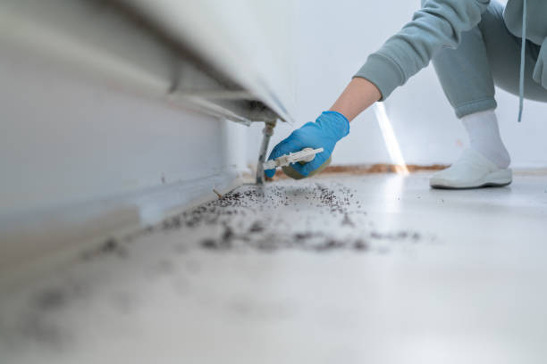 Trusted Tinley Park, IL Pest Control Experts